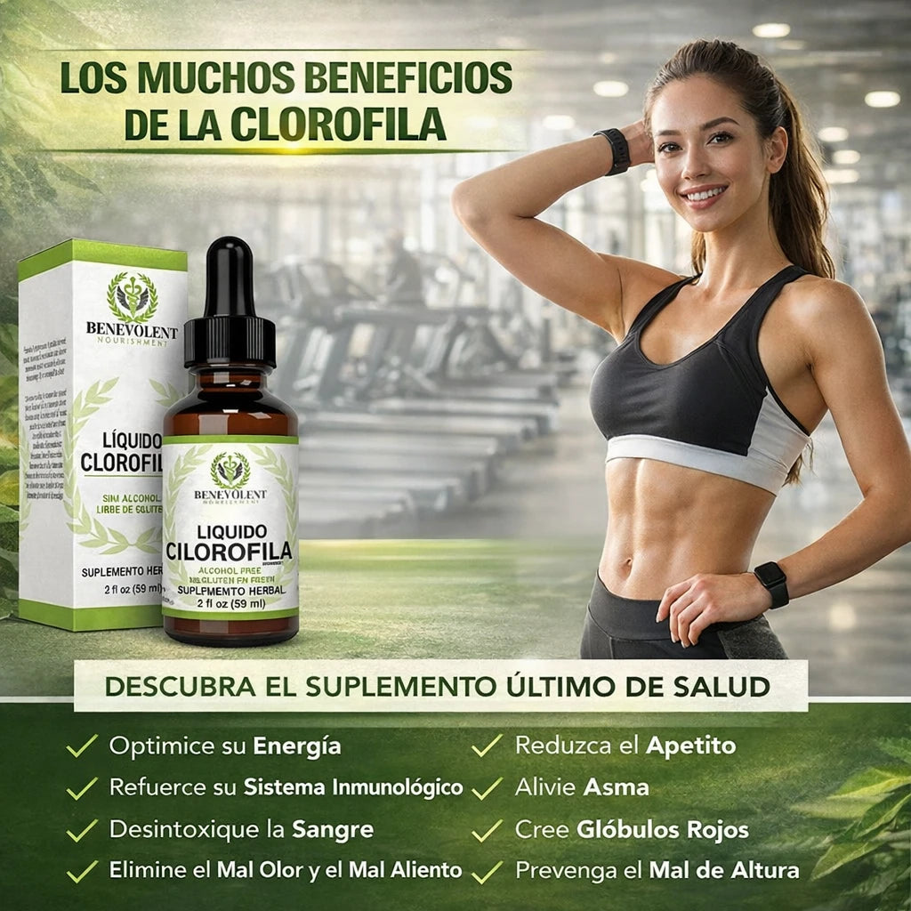 🌿 Desinflama Tu Cuerpo Desde Adentro