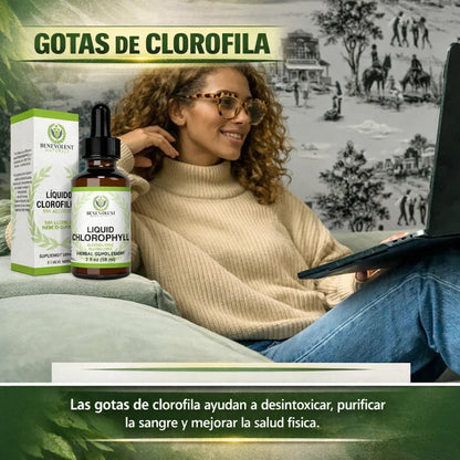 🌿 Desinflama Tu Cuerpo Desde Adentro