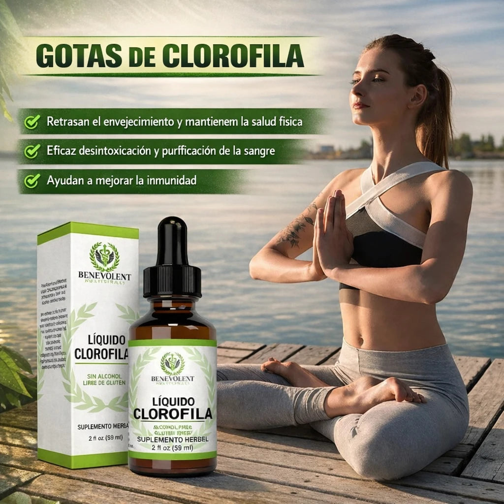 🌿 Desinflama Tu Cuerpo Desde Adentro