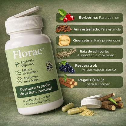 🌿 Bienestar Digestivo Natural y Equilibrio Intestinal 🌼