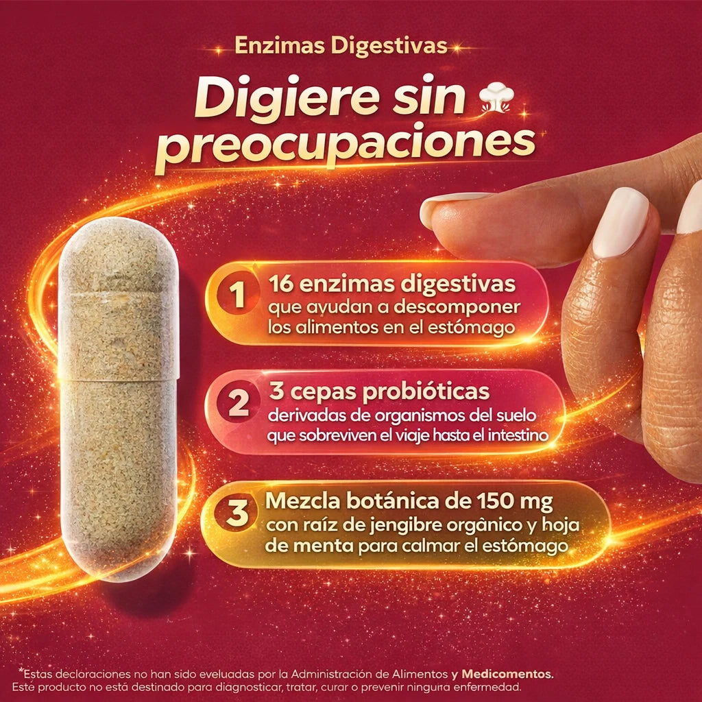⚡ La Fórmula Digestiva Que Apoya Tu Estómago Desde La Primera Comida