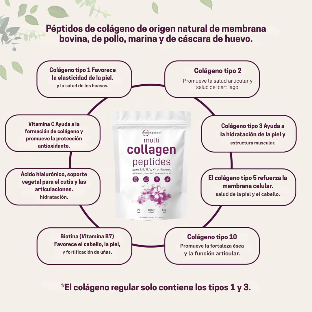 Colágeno Esencial MultiActivo